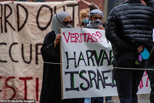 University campuses (pictured at Harvard) have become a focal point of hostilities as the country grapples with the complex conflict in the Middle East