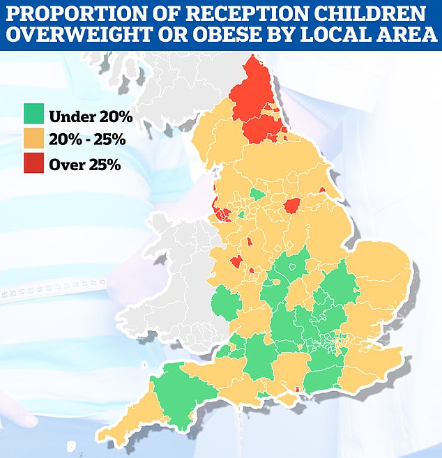 Statistics from NHS Digital also show that 9.2 per cent of children in care were considered obese in 2022/2023 – down from 10.1 per cent the year before.  When the number of overweight children was also included, the proportion was 21.3 percent.  Almost a third of all reception age children (30.1 per cent) were considered fat in Knowsley, followed by Newcastle upon Tyne (27.5 per cent) and Blackpool (27 per cent).