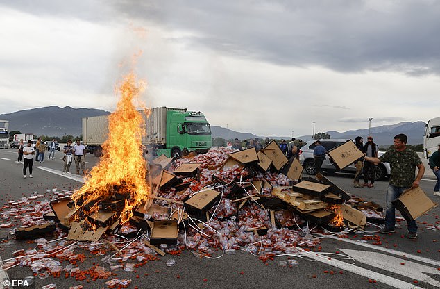 They also stacked hundreds of cardboard crates containing Spanish tomatoes and set them on fire