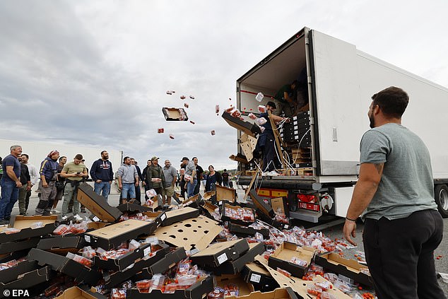 Protesters emptied the truck and threw the boxes of tomatoes onto the road