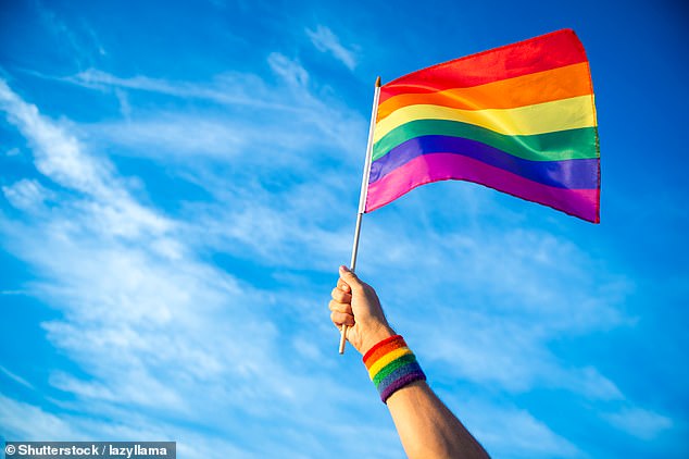 Ms Bissinger fears that permanently flying the Pride flag (pictured) – which represents lesbian, gay, bisexual, transgender and gender non-conforming people – would be “divisive”.