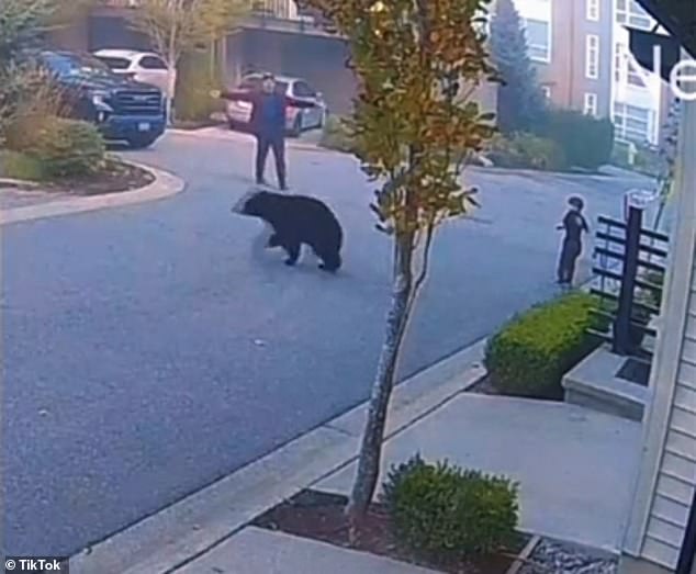 Soon, a man seeing that the child's life was in danger came running and raised his arms in an intimidating manner.  He managed to scare the animal away