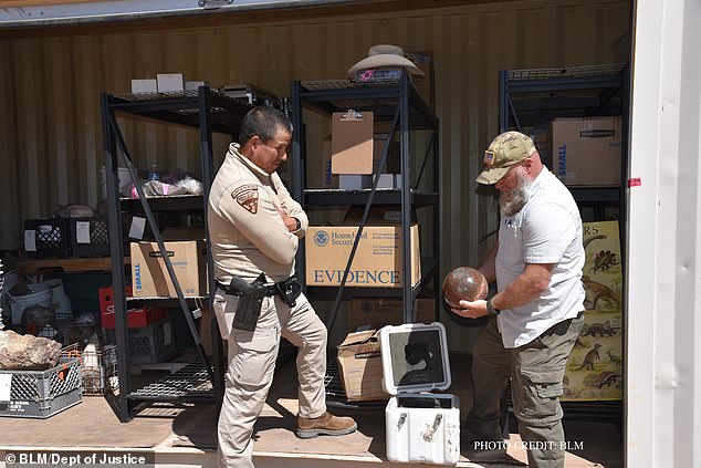 Investigators are seen with evidence recovered from the case.  Prosecutors say the defendants not only sold more than $1 million worth of looted dinosaur bones, but also caused more than $3 million in damage with the scheme