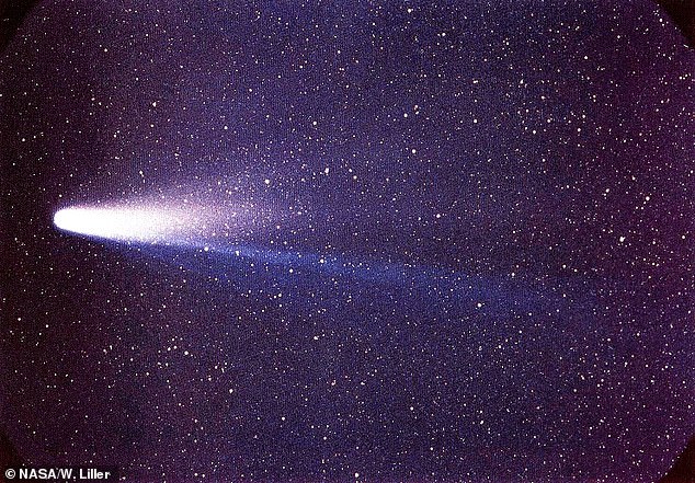 Halley's Comet on March 8, 1986. The space rock, which left behind grain-sized particles that produce the orionids, comes around the inner solar system every 75 years or so