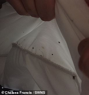 Stains of squashed bed bugs on Mark and Chelsea's sheets