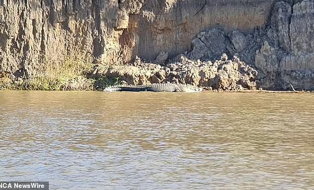 Authorities fear for the man's safety after his disappearance into the river, a known crocodile haunt (photo)