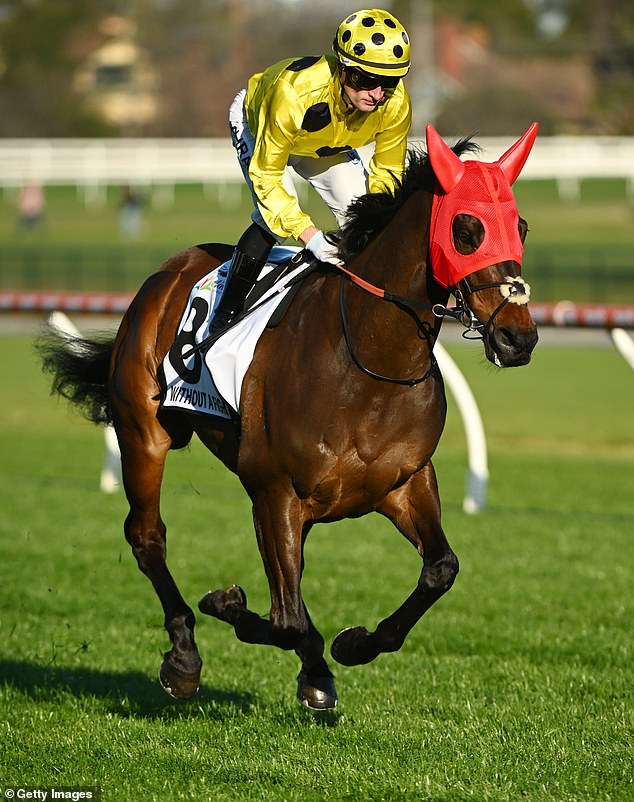 Zahra delivered on the big stage when it mattered and guided Without A Fight to victory in the Caulfield Cup on Saturday