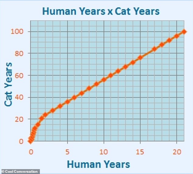 Biological calculators indicate that a three-year-old cat is actually 31 years old, a four-year-old cat is 35 years old, and a five-year-old cat is actually 38 and a half years old in human years.  This graphic gives an example