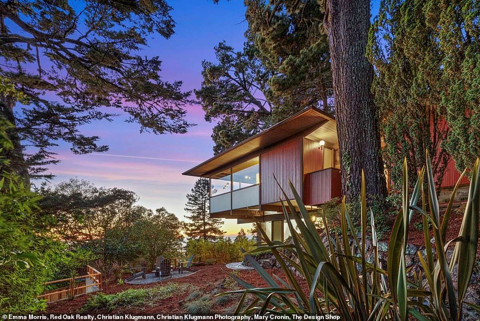 The mid-century modern architectural style, bold design choices, and the creative use of steel framing that allowed the house to 