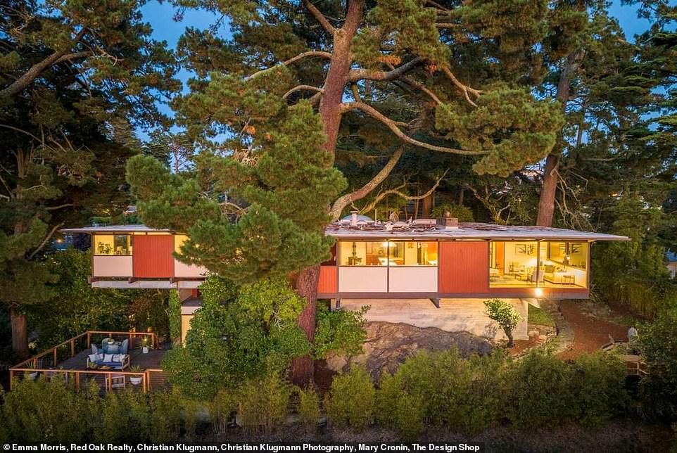 Five steel beams pointing in different directions held the house above the uneven hillside lot