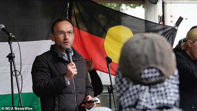 Greens leader Adam Bandt showed his support for the demonstration on Sunday