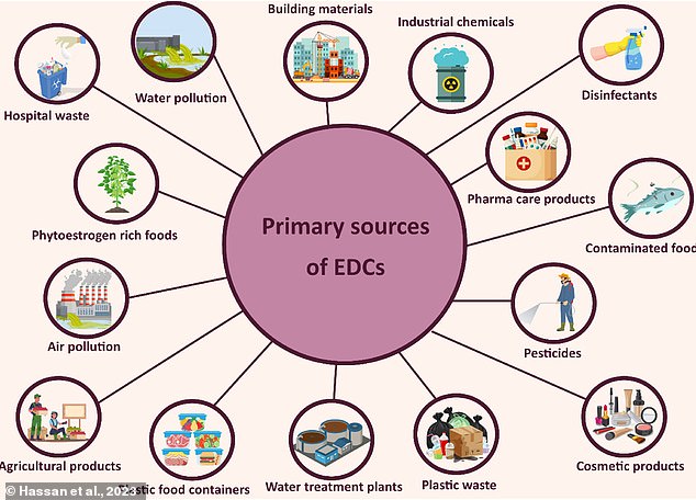 Endocrine disruptors can come from many sources, including plastics, makeup, personal care products and pharmaceuticals.