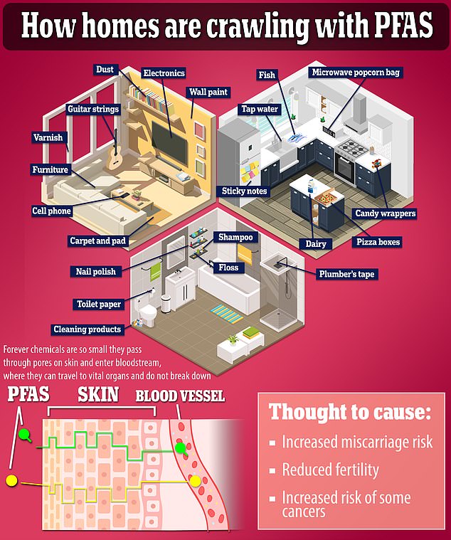 PFAS is a common contaminant in many household items, from cookware to hamburger wrappers.  It can remain in the environment and in human tissue for years, even decades, before being cleared