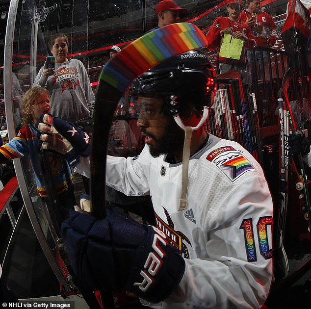 Anthony Duclair (seen here with the Florida Panthers) called the league's choice 'puzzling'