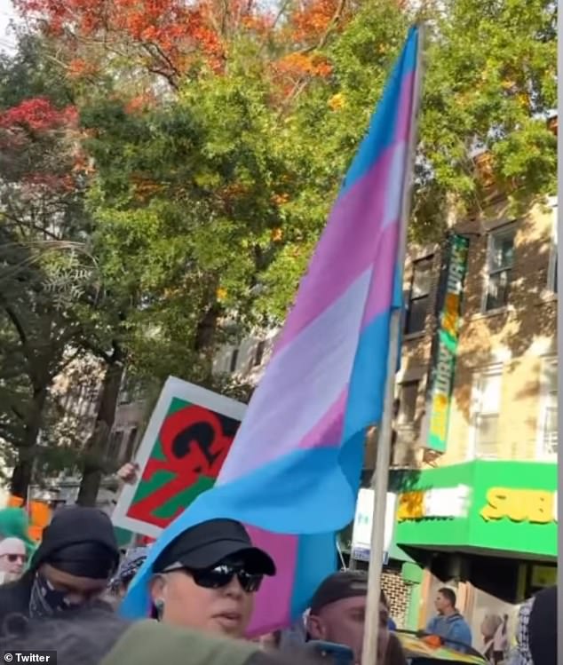 The 48-year-old non-binary actor carried a flag with the trans colors pink, baby blue and white as he joined thousands of people marching through the Bay Ridge neighborhood on Saturday.  Ramirez uses they/their pronouns