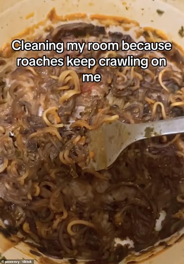 In almost every video, remnants of old food covered his room, while powEnvy claimed that his room gets so messy because he is a Roblox streamer.  When he started counting the number of cockroaches living in his room, he came across a white towel filled with them.  The towel was next to a spoiled cup of ramen (pictured), a blue dumbbell and what appeared to be melted ice cream