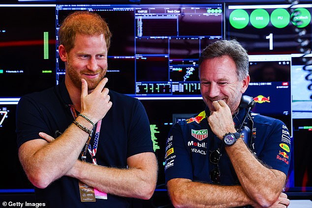 Among the onlookers in the stunned crowd was Prince Harry, pictured with Red Bull Racing team boss Christian Horner