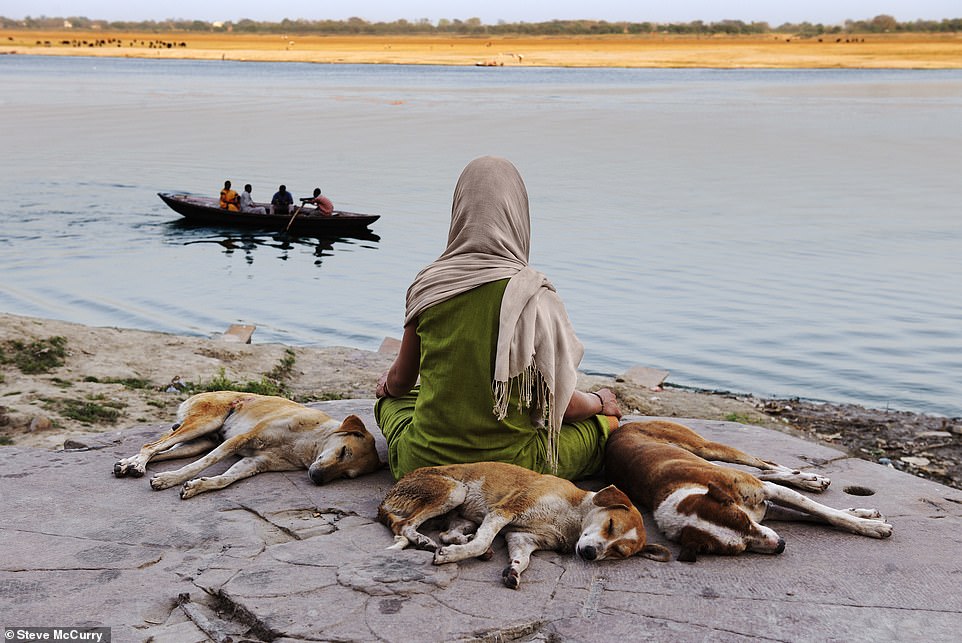 This beautiful photo shows a woman along with resting stray dogs during her early morning meditation on the banks of the Ganges River in Varanasi, India.  It dates from 2010