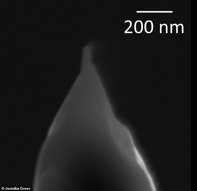 Assuming that the zircon crystals came later, scientists used radiometric dating, which looks at the rate of decay of the crystal atoms, to determine their age.