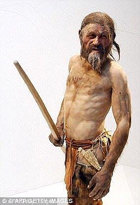 Since its discovery on December 19, 1991 by German hikers, Ötzi (artist's impression) has provided insight into early human history.