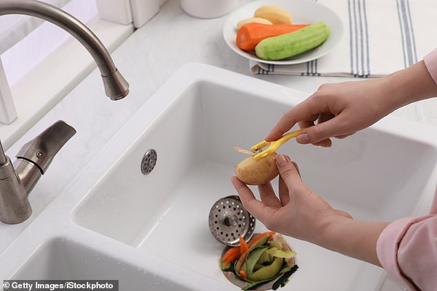 The sole purpose of waste disposal is to shred food waste into pieces small enough to go down the drain, which is why viewers were confused (stock image)