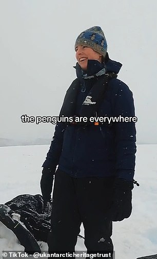There are thousands of penguins on the island and they have a particularly smelly guano, or penguin poop