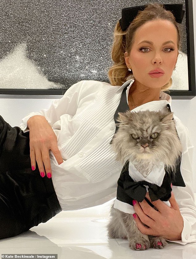 Popular flat-faced cat breeds include Persian cats, British Shorthairs, Himalayan cats, exotic shorthairs, and Birman cats.  Kate Beckinsale was photographed with her Persian cat Clive, who sadly passed away earlier this year