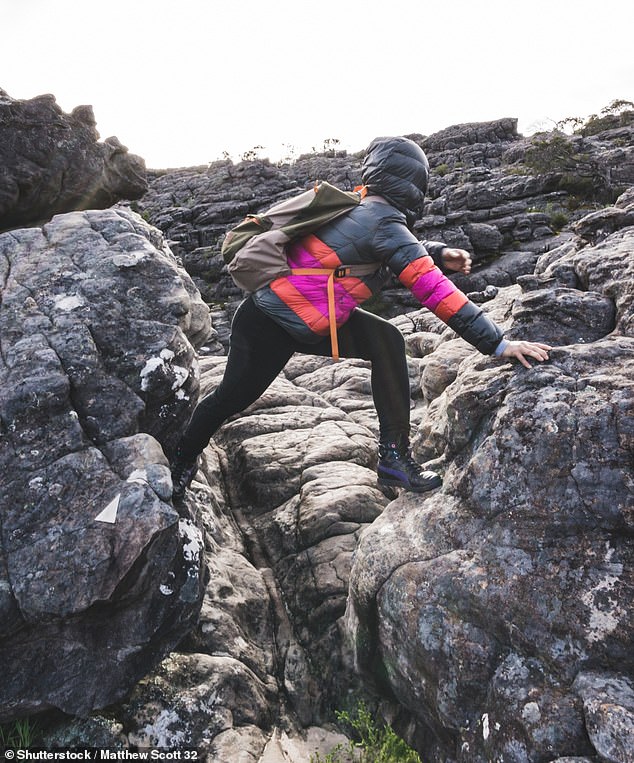 ACAV president Mike Tomkins believes the public will soon be completely banned from visiting the Grampians (above)