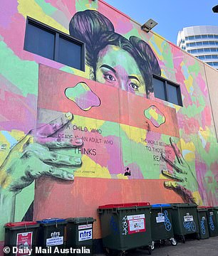 Those walking the streets of the Northern Territory's capital will find them littered with striking and vibrant street artworks of all shapes and sizes on the sides of buildings and hidden walls