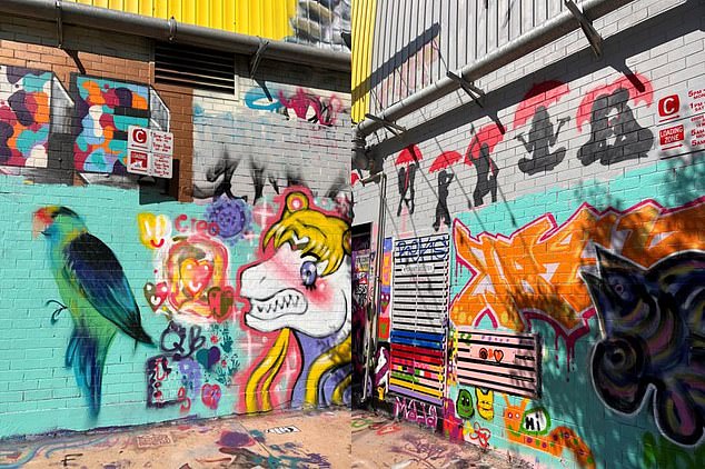 Austin Lane is home to Darwin's street art, with some of the largest murals and an array of creative spray-painted scribbles, portraits and scribbles