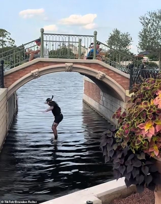 The bet that was made challenged the man to dive into the World Showcase Lagoon with his Pokémon cards from the Italian Pavilion at EPCOT for $6,000