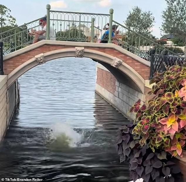 After completing the challenge, the man was chased by nearby security and kicked out of the Disney World park