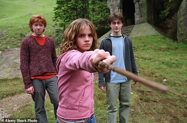 The iconic trio: Rupert Grint, Emma Watson and Daniel rose to fame after their roles as magicians occupied an entire decade of their formative years (pictured in 2004)