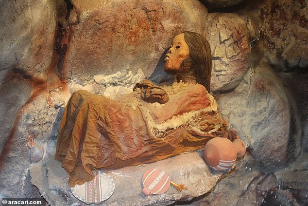Juanita was killed by blunt force trauma between 1440 and 1480 at Argentina's Lullailaco volcano, 22,100 feet above sea level, and her body was left frozen in time until it was discovered in 1995.