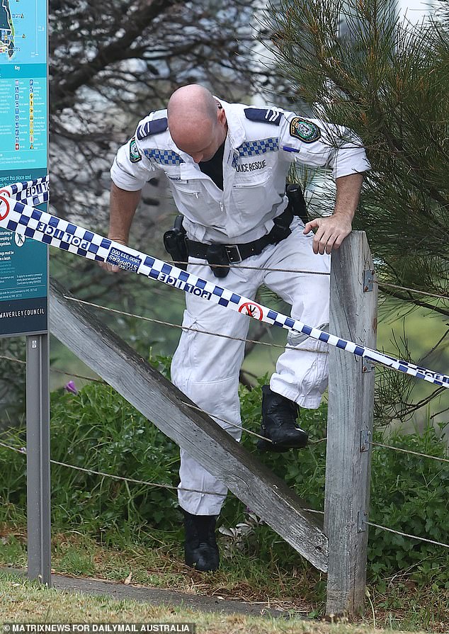 Specialist police rescue teams are involved in the operation in The Gap