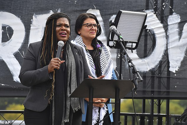 Representatives Cori Bush and Rashida Tlaib also opposed the resolution