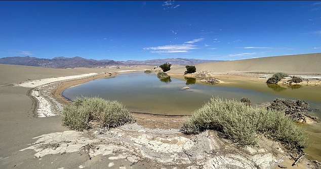 The Mesquite Flat Sand Dunes now also house a shallow lake in the driest place in America