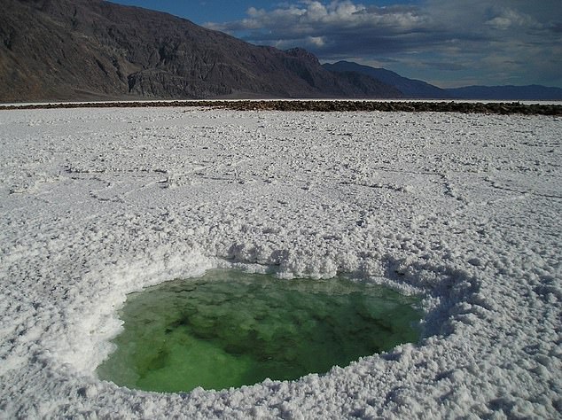 Hundreds of ponds and pools formed in the immediate aftermath of the devastating storm