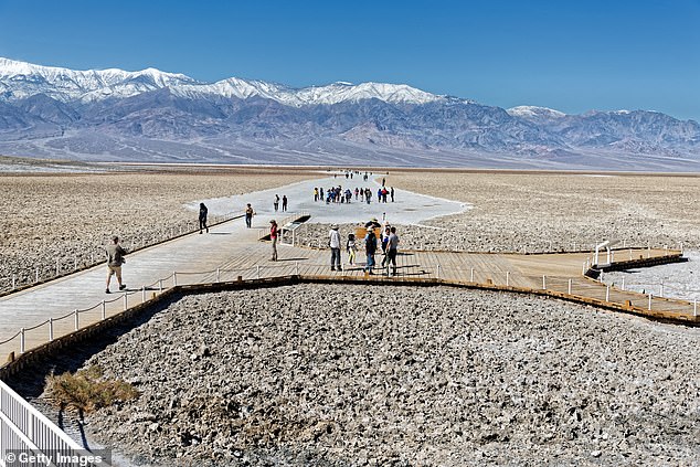 There is usually little to see other than salt in Badwater Basin, the lowest point in North America