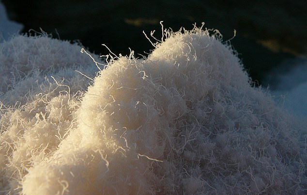 Salt formations show the beauty of the deserted place, regardless of the weather