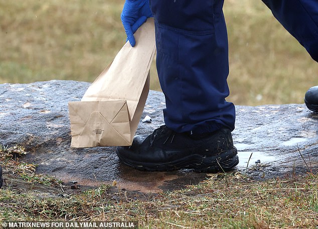 Police were seen placing a pair of Apple AirPods, found at Diamond Bay Reserve, Vaucluse, into brown evidence bags