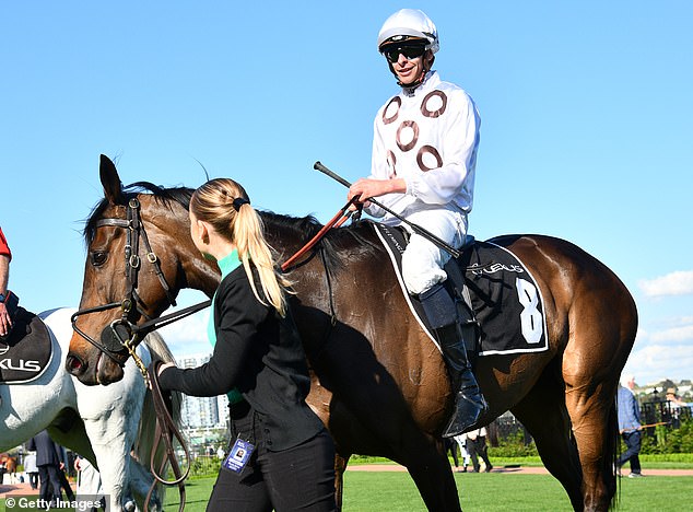 Lunar Flare is the tip of many experts - she also won the Gold Cup in 2021 (pictured with jockey Michael Dee)