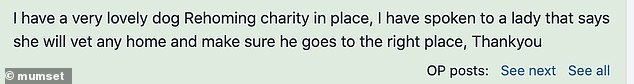 The woman was grateful for all the advice and revealed that she will rehome the dog without his input