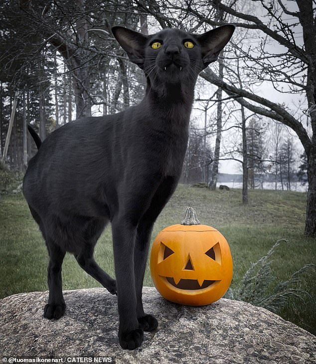 Toivo is standing next to a pumpkin