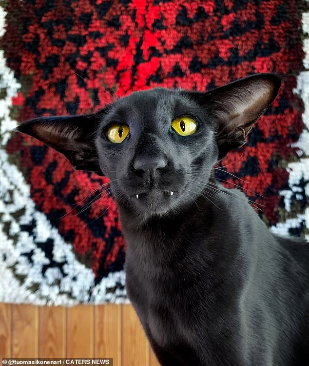 Toivo poses against a blood-red background