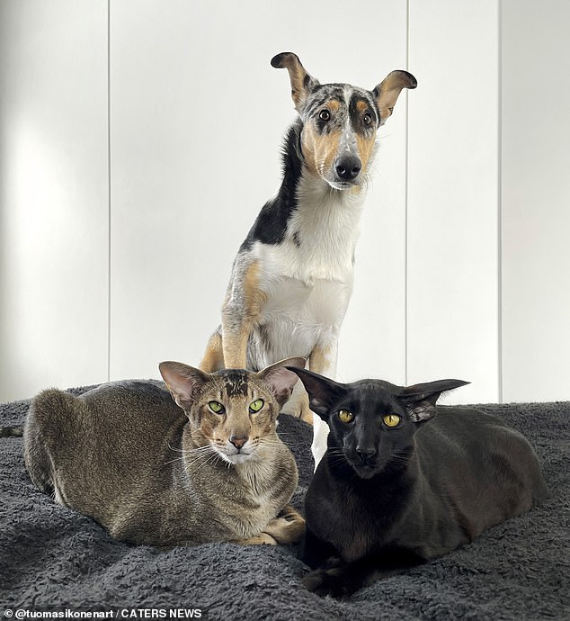 Toivo and his friends look menacingly at the camera in the run-up to Halloween