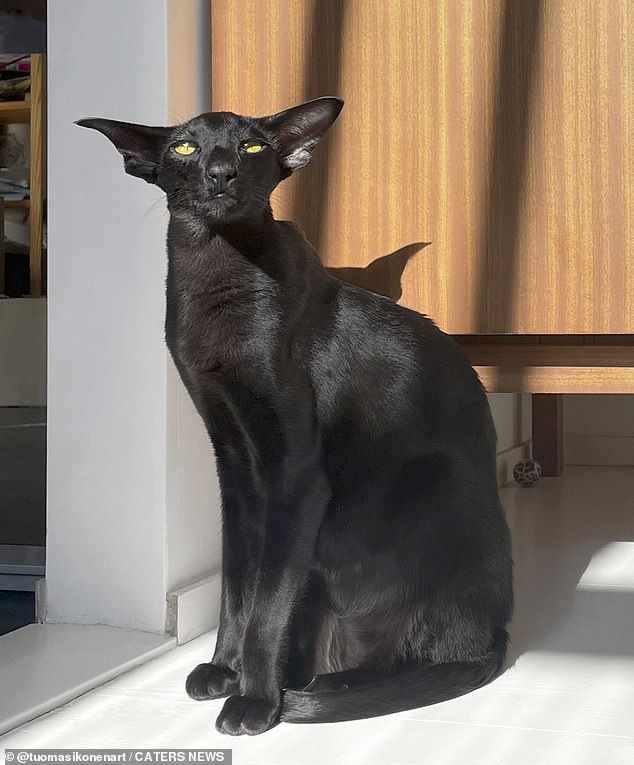 Toivo strikes a creepy pose