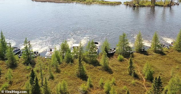 Above is a still from incredible video footage of the island relocation ritual, which takes place almost every year