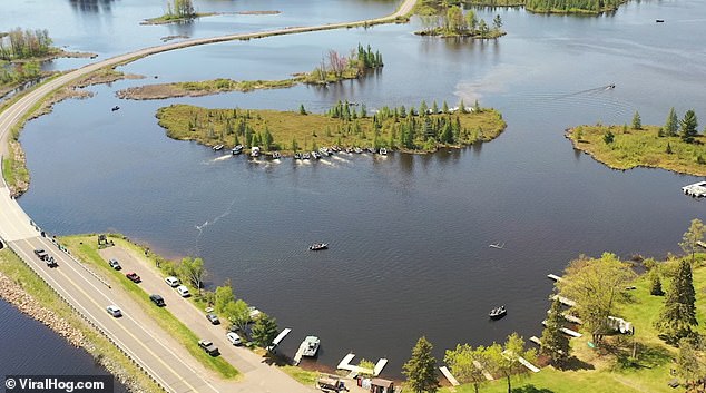 The lake's floating islands began as patches of peat swamp rising from the land beneath the lake, which was created in 1923 after a dam was built on the Chippewa River and flooded 15,000 acres of land.