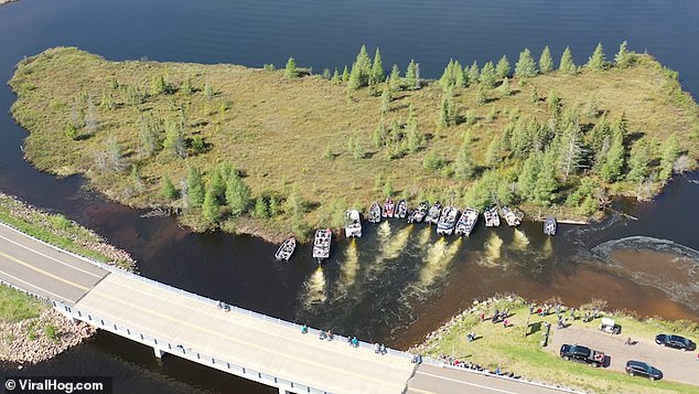 The floating island that proves to be tricky for locals is known as the 'Forty Acre Bog' and is crowned by tamarack larch trees